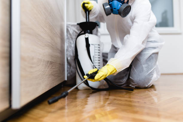 Best Wasp Removal Services  in Dallastown, PA