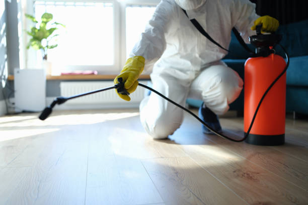 Flea Control Services in Dallastown, PA