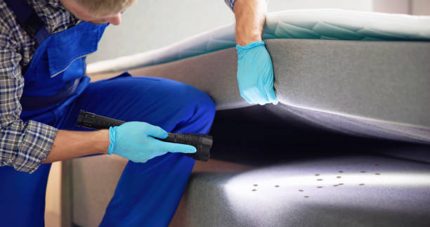 Trusted Dallastown, PA Pest Control Experts